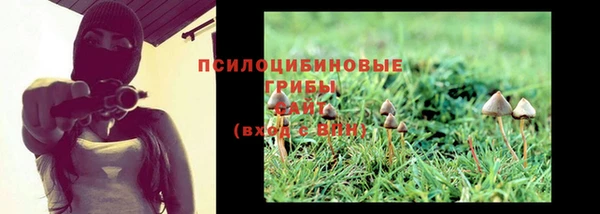 метадон Инта