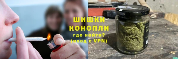 метадон Инта
