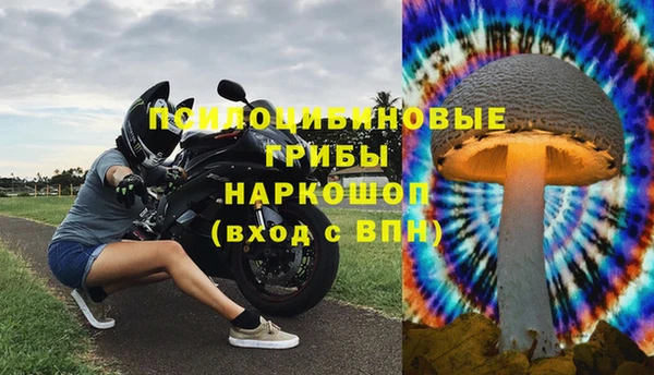 метадон Инта