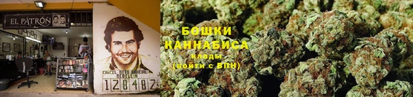 метадон Инта